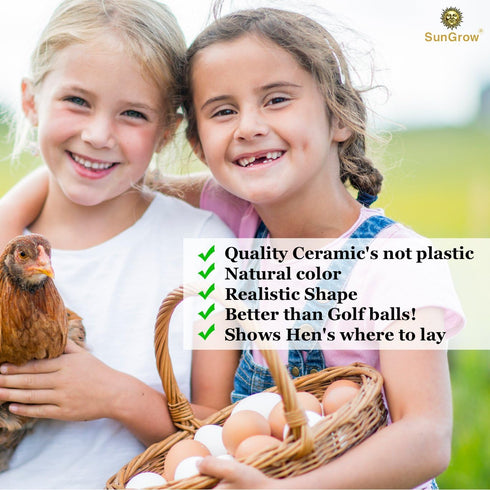 2 Pack SunGrow Fake Wooden Eggs to Train Birds from Laying in The Nesting Boxes & to Stop from Eating Own Eggs, Brown