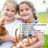 2 Pack SunGrow Fake Wooden Eggs to Train Birds from Laying in The Nesting Boxes & to Stop from Eating Own Eggs, Brown