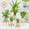 NQW 5 Pack Metal Potted Plant Stands for Indoor Outdoor,Round Planters Flower Pots