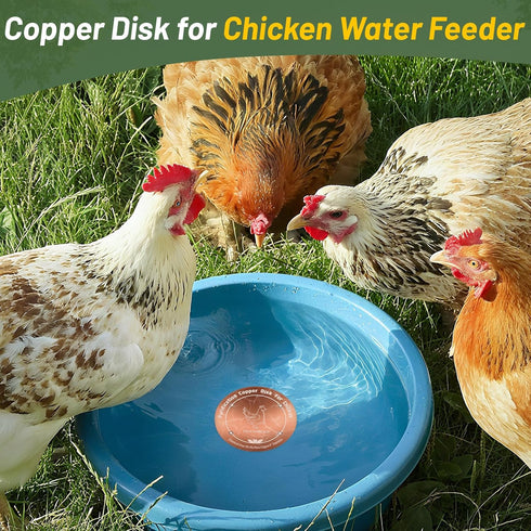 HAEZU Feeder|4-inch Diameter,0.6mm Thick|99.99% 4 Copper Disk for Chicken Water Pure Copper Disc|Automatic Chicken