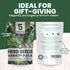 5 Packs 2026 Herb Seeds | Invidiual | Season | Non-GMO | Basil, Dill, Spearmint, Parsley & Thyme! | for Planting Indoor
