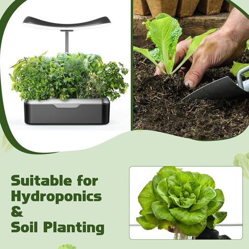 8 600+ 4 Lettuce Seed Pods for All Hydroponics Growing System, Pods with Seeds of Romaine/Butter Head/Red&Green