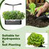 8 600+ 4 Lettuce Seed Pods for All Hydroponics Growing System, Pods with Seeds of Romaine/Butter Head/Red&Green