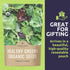 Pack 12 Packs 2026 Organic Healthy Greens Seeds Variety - Individual - Season - Arugula, Kale, Swiss Chard, Spinach
