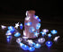 WSgift Coastal String Lights, 17.5 Ft 36 Cold White LED Beach Decorative