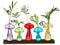 Glasseam Mushroom Plant Propagation Station: Cute Glass Terrarium Jar with Wooden Stand