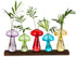 Glasseam Mushroom Plant Propagation Station: Cute Glass Terrarium Jar with Wooden Stand