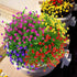 6 Bundles Outdoor Artificial Flowers - UV Resistant Fake Boxwood Plants for Indoor Outside Hanging Plants Garden Decor