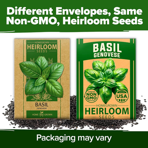 Pack 1,750+ HOME GROWN Non GMO Genovese Basil Seeds High Germination Heirloom Seeds (Ocimum basilicum) Herb Seeds