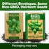 Pack 1,750+ HOME GROWN Non GMO Genovese Basil Seeds High Germination Heirloom Seeds (Ocimum basilicum) Herb Seeds