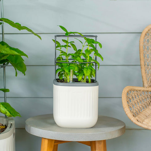 Vego garden Mini Planter Indoor Pots with Trellis Self-Watering Herb Countertop Planter