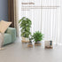 3 6/8/10" Counter Pcs Wood Plant Stand Indoor Outdoor, Wooden Stool Display Stand Round Riser Flower Pot Holder Small
