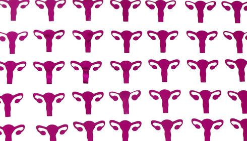 ROFLmart Metallic Pink Uterus Confetti for Party Decoration (1)
