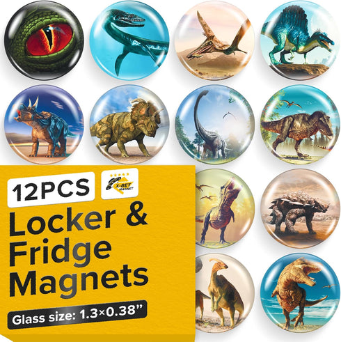 Super Cute 12 Glass Fridge & Locker Magnets – Strong Hold for Photos, Notes, Recipes – Aesthetic Decoration