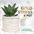 Willowy 6 Inch Ceramic Pot, Matte White with Gold Stripes, Drainage Plug Included