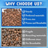10LBS ZeeDix Lightweight Expanded Clay Pebbles - pH-Balanced Hydroponic Growing Media for Aquaponics & Indoor Plants
