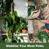 15.7IN 16.4FT 0.35" Unves Chicken Wire Plastic Mesh, x Fencing for Poultry Floral Dogs Rabbit Pets Barrier Netting