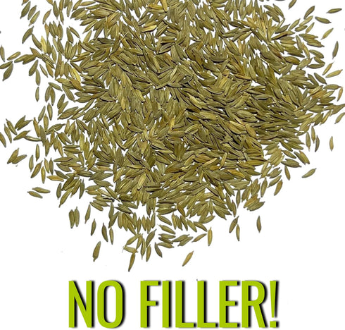 10,000+ Seed Needs Dandelion Seeds for Planting Fresh Herbs | Untreated Seeds Non GMO Heirloom | Bulk Dandelion Seed |