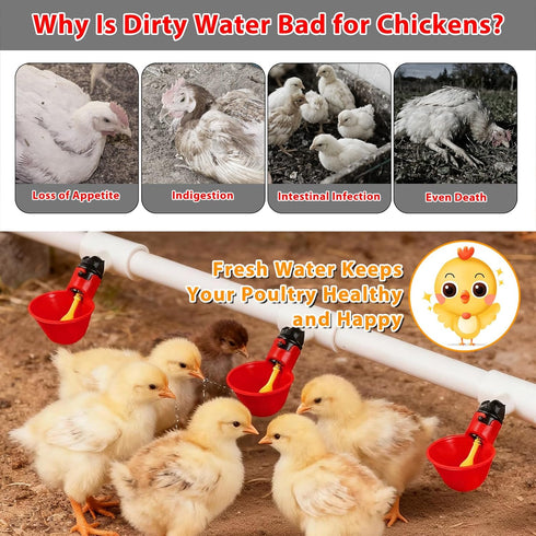 Pack 6 1/8 Inch Chicken Waterer Cups, of Chicken Waterer PVC Tee Fittings, with FTP Threads, Automatic Chicken Water