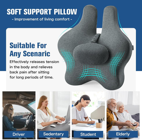 Adjustable Lumbar Support Pillow for Office Chair, Memory Foam Back Cushion for Chair/Car/Sofa/Plane (Darkgray)