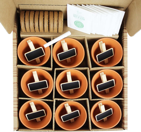 9 BUZZY Seeds Apothecary Garden Wellness Kit with Varieties of Non-GMO Flower and Herb Seeds, Terracotta Pots, Growing