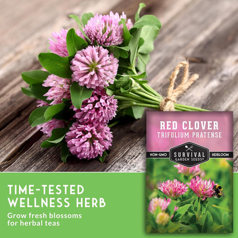 (1 Pack) Red Clover Seeds for Planting Nitrogen-Fixing Cover Crop & Ground Cover for Soil Building and Pollinators