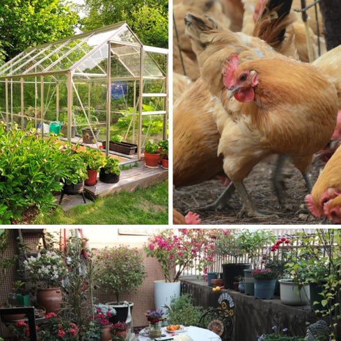 16in 33Ft (16in 33Ft, Plastic Wire Mesh Fence x Plastic Chicken Wire Mesh for Poultry, Dogs, Rabbit, Snake Barrier