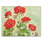 CounterArt Nature's Grace Tempered Glass Cutting Board, 10” x 8”, Heat Tolerant, Dishwasher Safe