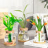 6 3 Beeveer Pcs Plants Propagation Station Separated Desktop Plant Terrarium with Wood Lid and Stand, Sizes Glass