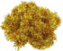 DECORA Gold Tinsel Garland for Christmas Tree Decorations, Wedding, Birthday Party Supplies, 33 FEET