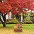 YEAHOME Fall Decorations, 22" Decorative Garden Stakes with 2 Pack Pumpkin Welcome Sign for Outdoor Yard Decor