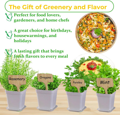 DESAI Garden 9 27 Indoor Herb Garden Kit, Non-GMO Seeds with Reusable Pots, Planter DIY Grow Kits for Growing Herbs