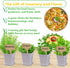 DESAI Garden 9 27 Indoor Herb Garden Kit, Non-GMO Seeds with Reusable Pots, Planter DIY Grow Kits for Growing Herbs