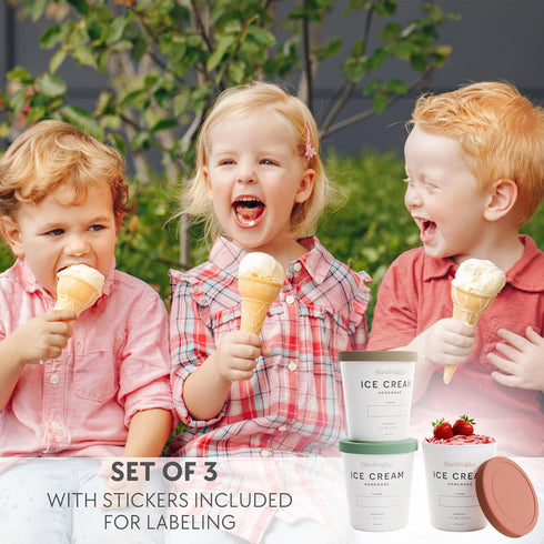 Set 3 1 Frozen ZICOTO of Reusable Ice Cream Containers Quarts ea. - Perfect for Homemade Sorbet, Yogurt Or Gelato