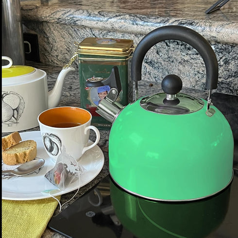 Lily's Home 2 Quart Stainless Steel Whistling Tea Kettle, the Perfect Stovetop Tea and Water Boilers for Your Home, Dorm, Condo or Apartment. (Pastel Green) by Lily's Home