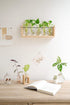 (5 Bulb Mkono Plant Terrarium with Wooden Stand, Wall Hanging Glass Planter Desktop Plant Propagation Vase with Metal