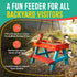 Set, 6+ SparkJump Picnic Table Feeder for Squirrels - DIY Woodworking Project for Kids and Families, Includes Tools