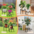 Acteomsly 6-Pack (6PACK Metal Plant Stand,Heavy Duty Flower Pot Stands for Multiple Plant,Outdoor Anti-Rust Plant Pot