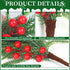 12Pcs Christmas Norfolk Pine Stems with Red Berries, Real Touch Artificial Norfolk Pine Branches for Vase,DIY Crafts