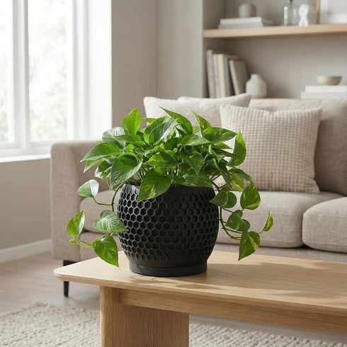 Fabix3D 3D 4.7 Inch Plant Pots, Modern Printed Honeycomb Planters for Indoor Plants, Matte Black Decorative Flower Pot
