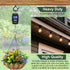 InPoTo 12PCS 2.2 Inches, 1 Q Hanger Hooks with Safety Buckle, Windproof Screw Hooks, Outdoor String Lights, Plants