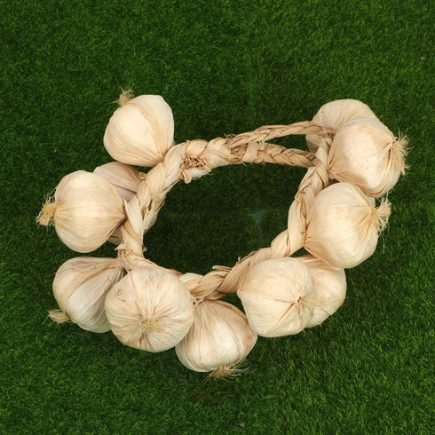 2Pcs BESPORTBLE Fake Garlic Hanging String Vegetable Photography Props Lifelike White Garlic for Home Office Decor
