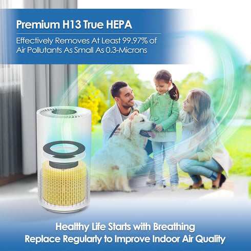 VK-6067B Pet Allergy Filter for Vremi Air Purifier, Compatible with VRM010685N and Hokeki, 360° H13 True HEPA Filter