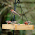 Wild Wings WWCF23 Cedar Tray Bird Feeder