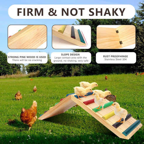 2 1 Rainbow Chicken Perch and Ramp Trainer, in Sturdy Wooden Chicken Roosting Bar, Baby Chick Toys for Brooder, Chicken
