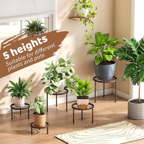 5 Pack Plant Stand Indoor Outdoor Heavy Duty Metal Stand Multiple Plants, Anti-Rust Iron Flower Pot Stand Decoration