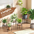 5 Pack Plant Stand Indoor Outdoor Heavy Duty Metal Stand Multiple Plants, Anti-Rust Iron Flower Pot Stand Decoration