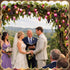 1 3D Summer 9.8ft 20leds Bulbs Baquler Pcs LED Grape String Lights Battery Operated Fruit Light String Grape