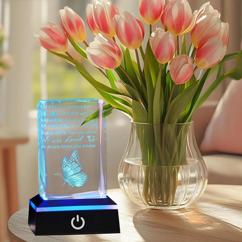 3D Crystal Butterfly Inspirational Gift with Color Changing LED Base, Inspiring Plaque, Birthday and Graduation Gifts