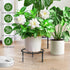 7.9-inch TOSKING Heavy Duty Metal Plant Stand - Round Tray with Geometric Pattern, Adjustable Leveling Feet